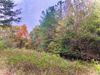 0 Lakeview Dr photo